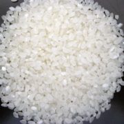 japonica rice